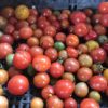 Cherry Tomatoes - Food Basket Farm Jamaica