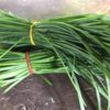Garlic Chives Food Basket Farm Jamaica