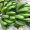 Green Banana Food Basket Farm Jamaica