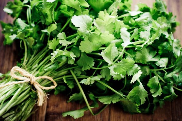 Cilantro Food Basket Farm Jamaica